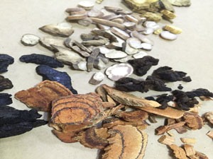 Chinese herbs and medicines