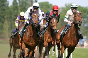 Horse racing at Happy Valley Racecourse