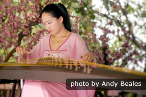 A Chinese woman playing the guzheng
