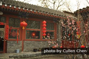 Chinese New Year decoration