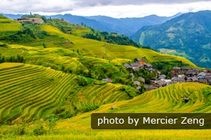 The Longji Rice Terraces