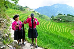 Longsheng's Terraced Fields