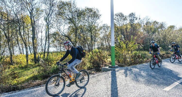 Bike around Erhai Lake