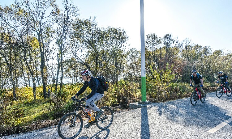 Bike around Erhai Lake in spring