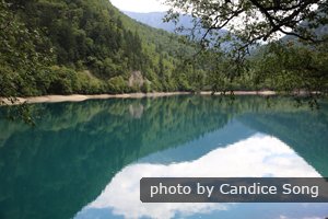 Panda lake