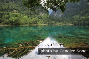 Jiuzhaigou in spring