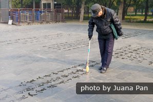 park floor calligraphy