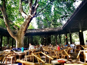 the People's Park in Chengdu