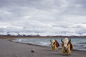 The Namtso Lake