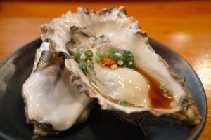 Shajin Oysters