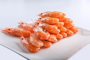 Shrimp
