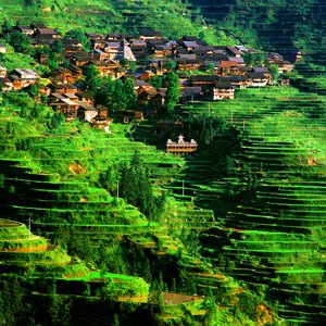 Guizhou