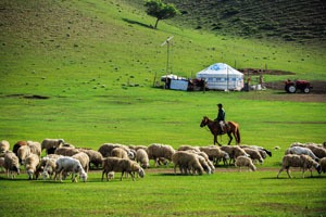 Mongolian Steppes and Ger Camp