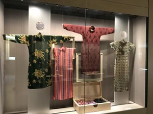 Silk Clothes