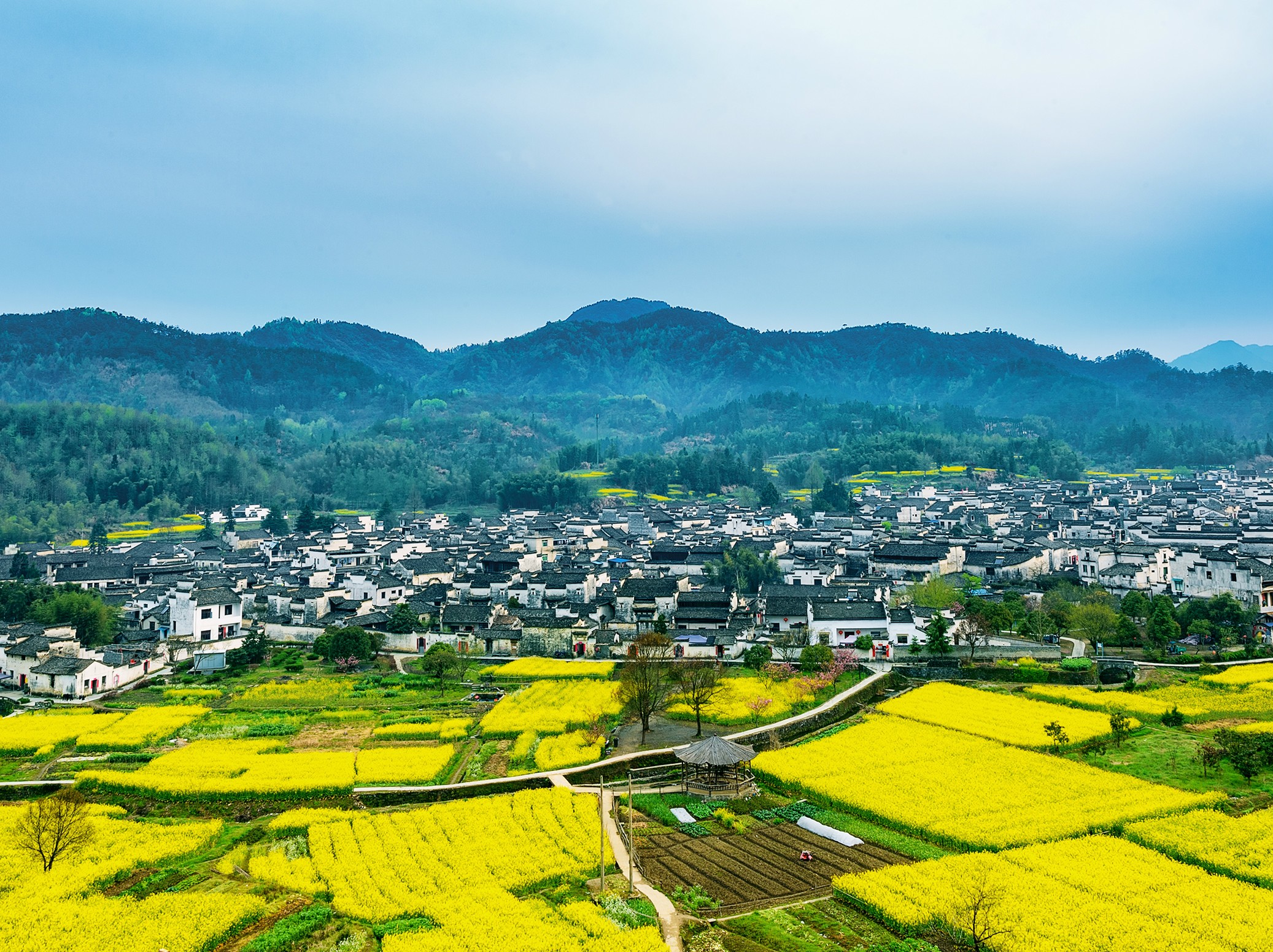 the best to visit Huangshan in spring