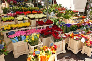 A Guangzhou flower market