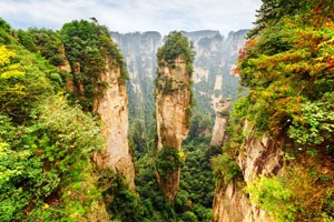 Zhangjiajie National Forest Park in autumn