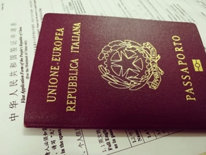 An Invalid/Damaged Passport is a reason for visa-free transit get refused
