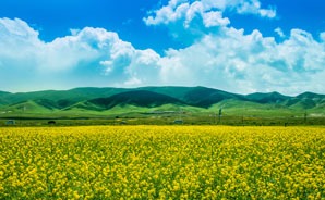spring in china