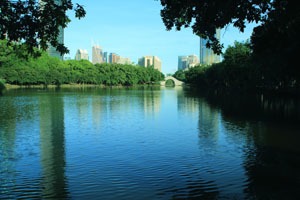Shenzhen in Spring