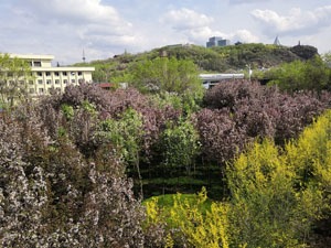 Red Hill Park