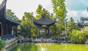 The Garden in The Park