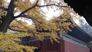 Tanzhe Temple