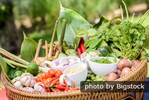 Organically Grown Vegetables