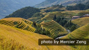 Longji Terraced Fields in Guilin