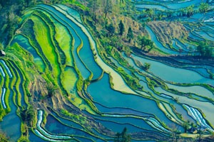 Yuanyang Terraced Fields