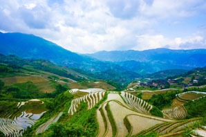 Longji Terraced Field