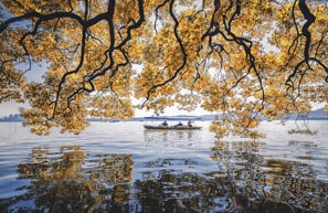 West Lake Boat Ride