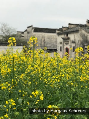 Pingshan Village, near the Yellow Mountains