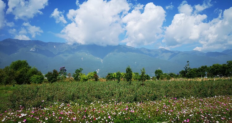 The Cangshan Mountains