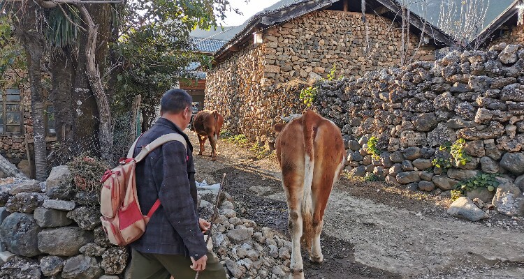 Yuhu Village