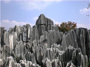 the stone forest