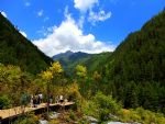 Jiuzhaigou Summer Scene