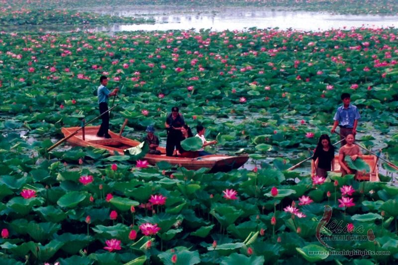 Baiyangdian Lake
