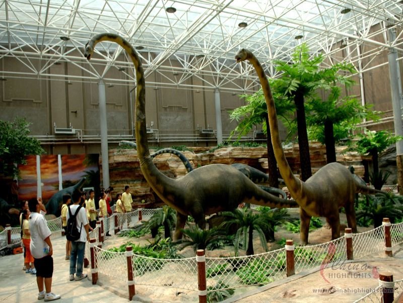 Beijing Museum of Natural History