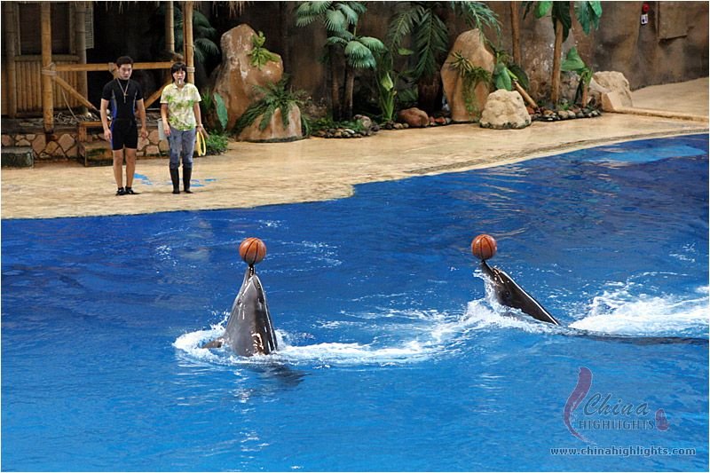 The Beijing Aquarium