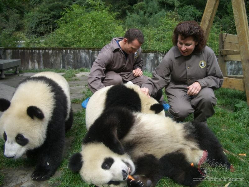 Bifengxia Giant Panda Base