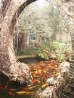 Chengdu People's Park
