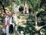 The Butterfly Spring The Butterfly Spring