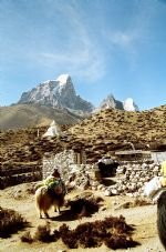 Everest Base Camp