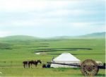 Ordos Grassland