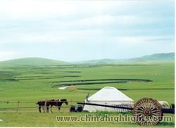 Ordos Grassland