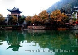 Longevity Palace