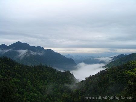 Nanling National Forest Park