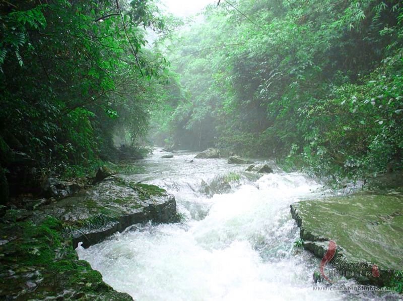 The Ling Canal