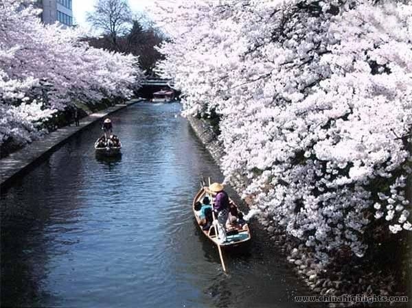 Peach Blossom River